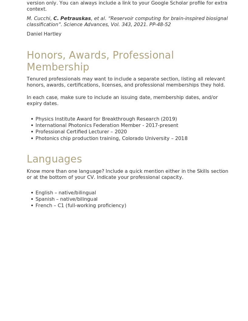 CV Template Professional preview